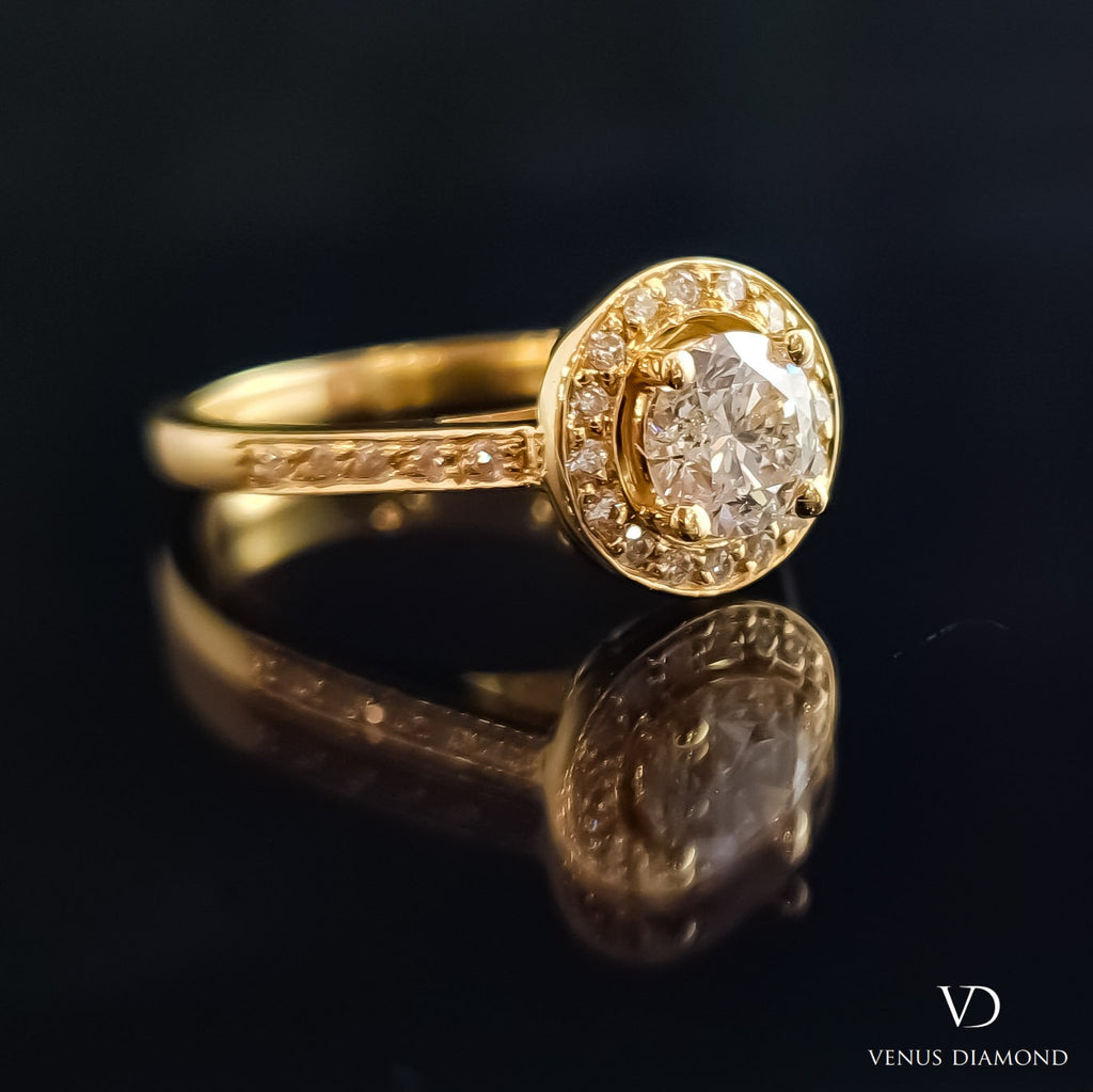 Round Brilliant Cut Halo Ring with Diamond Shank