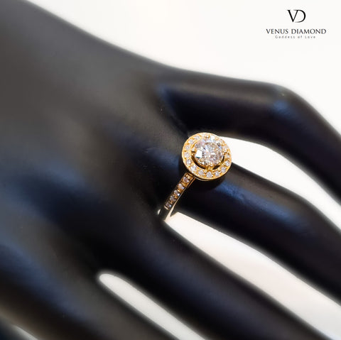 Round Brilliant Cut Halo Ring with Diamond Shank